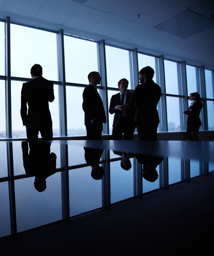 Trustimia Financial and Corporate Governance Services Financial and Corporate Governance Services